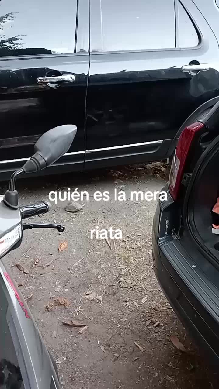 @Irving Fernando Rosa