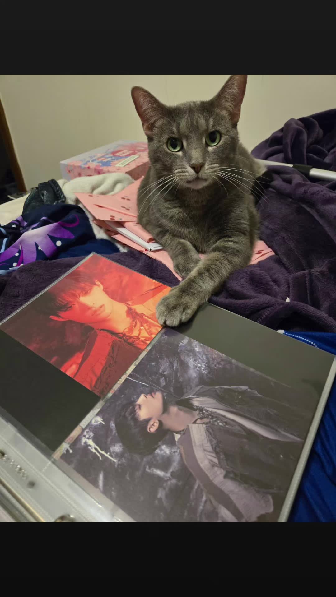 @NightFairyAJ