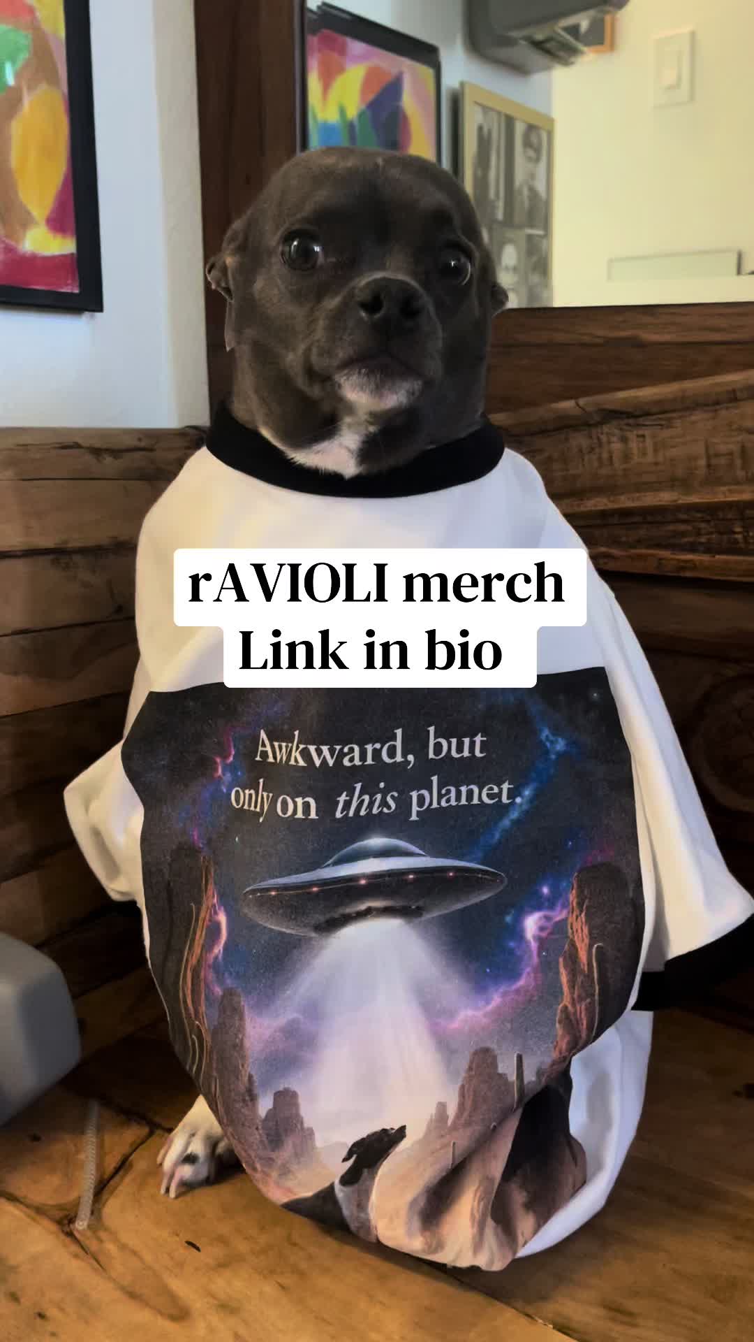 @ravioli.linguini