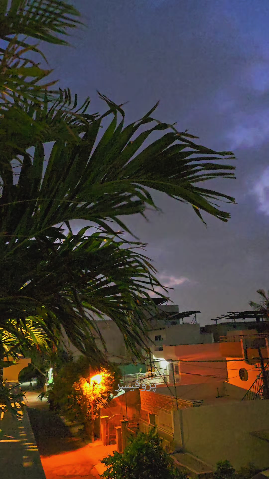 @P R O F E S S O R 🥀