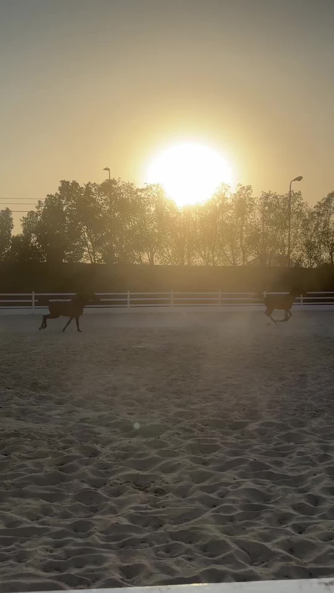 @نورا الزهراني | مكة 🌟