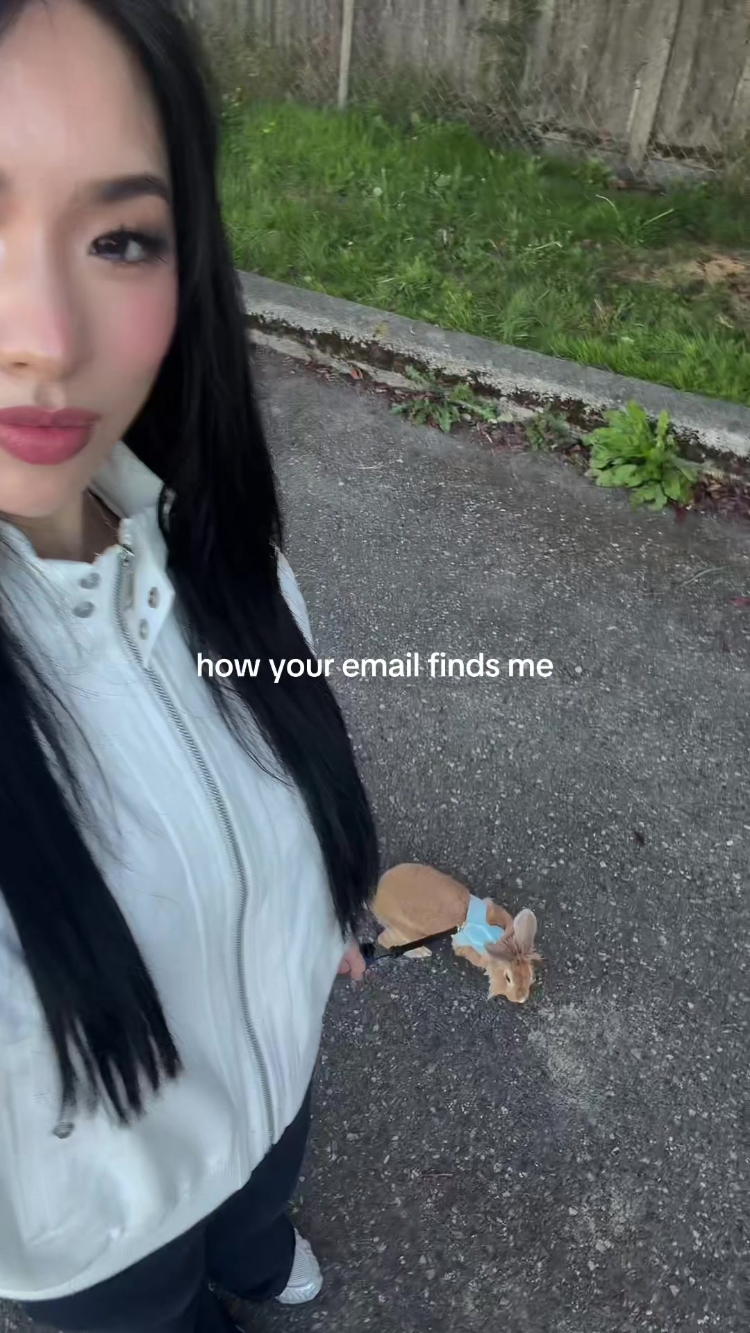 @ambi