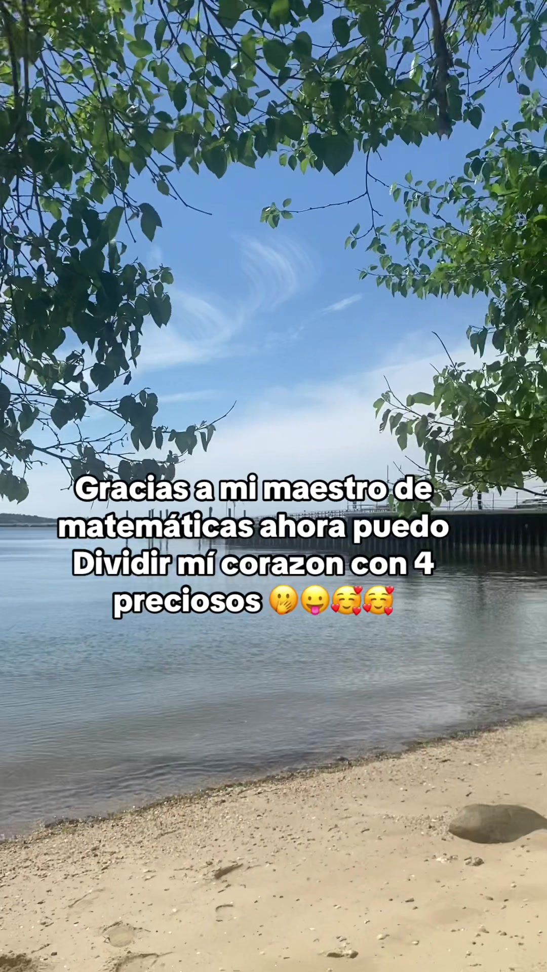 @💛Bonita_Girasol91