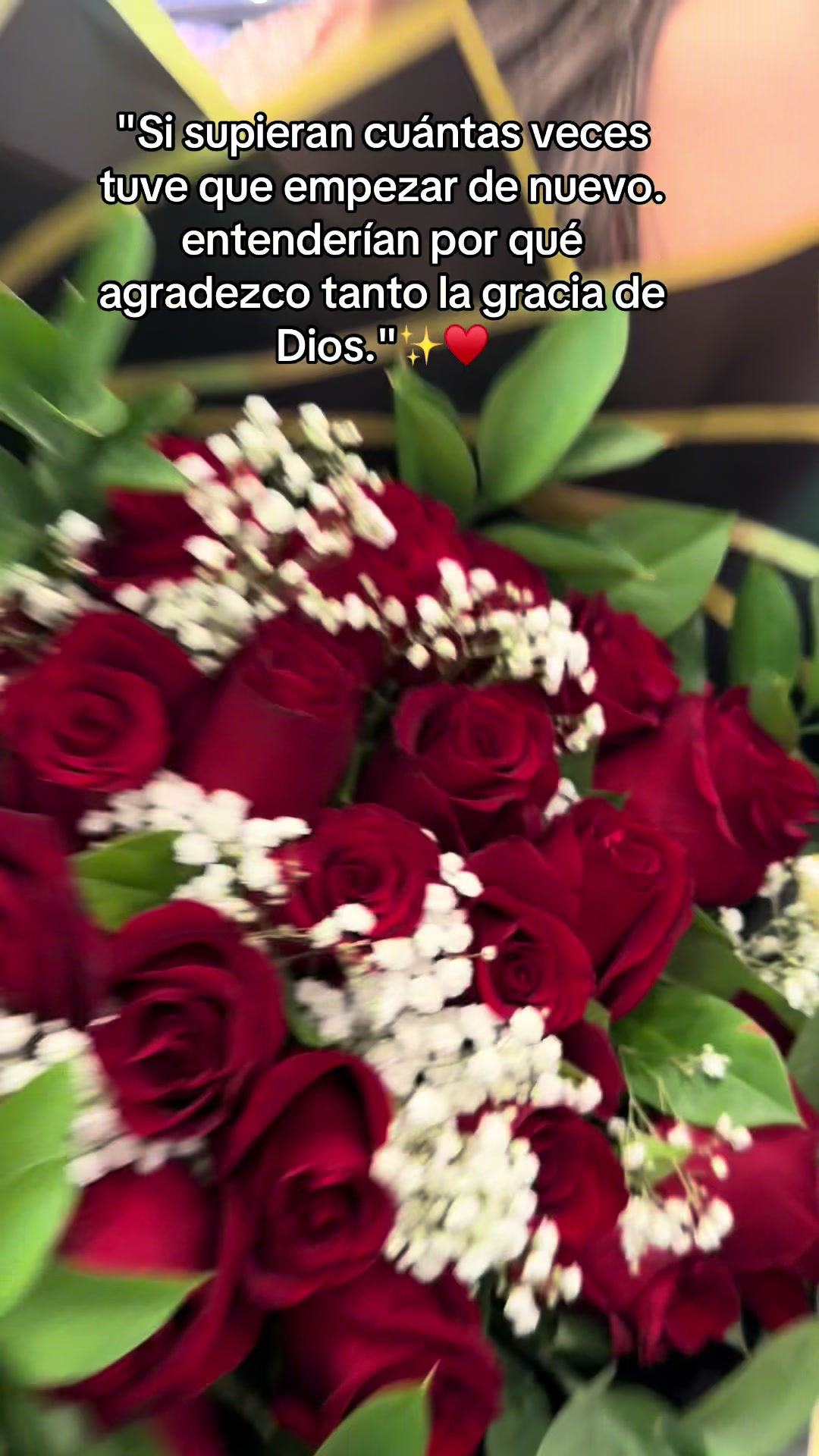 @veritodiaz1205