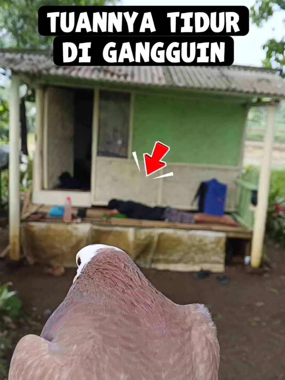@BANG LEYON