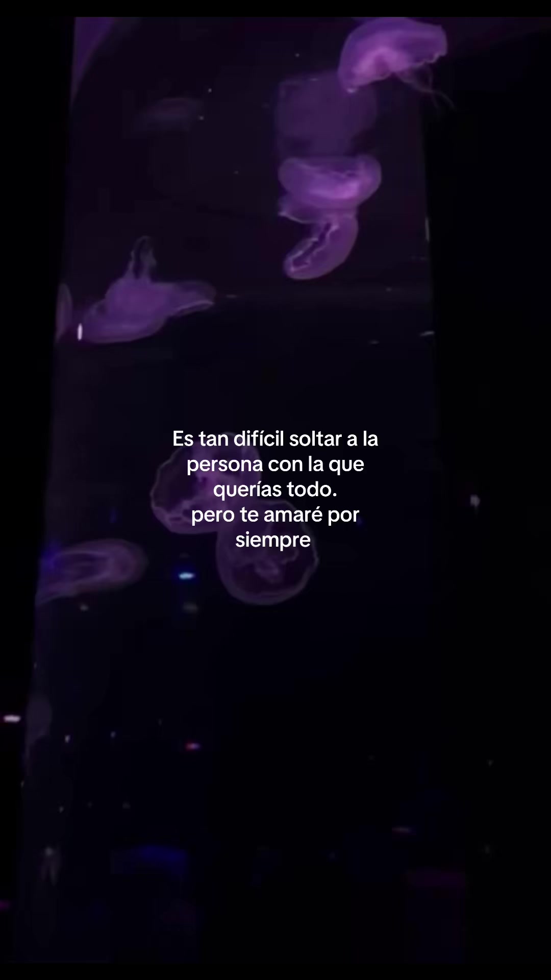 @𝐀𝐦𝐨 𝐚 𝐦𝐢 𝐞𝐱❤️&zwj;🩹🥹