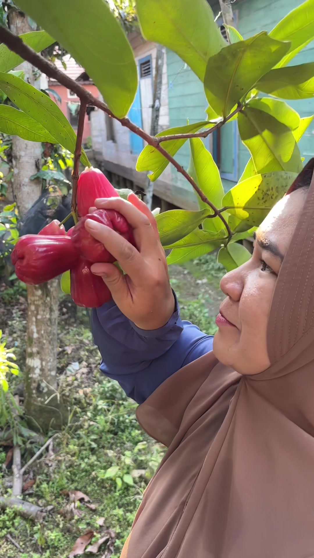 @hikmahsatra