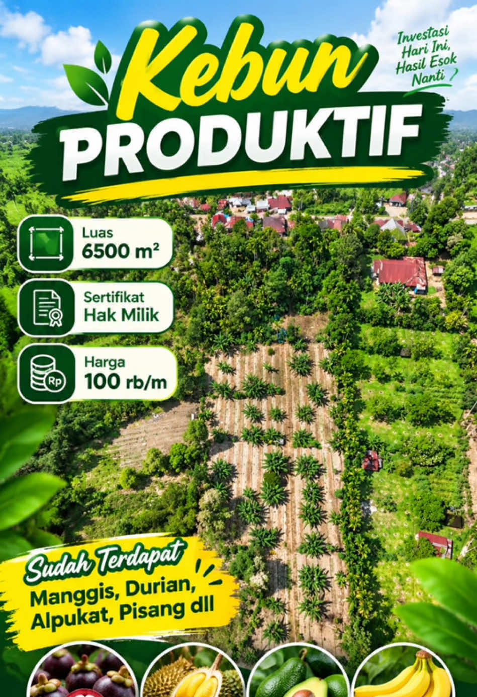 @Sumbar Property