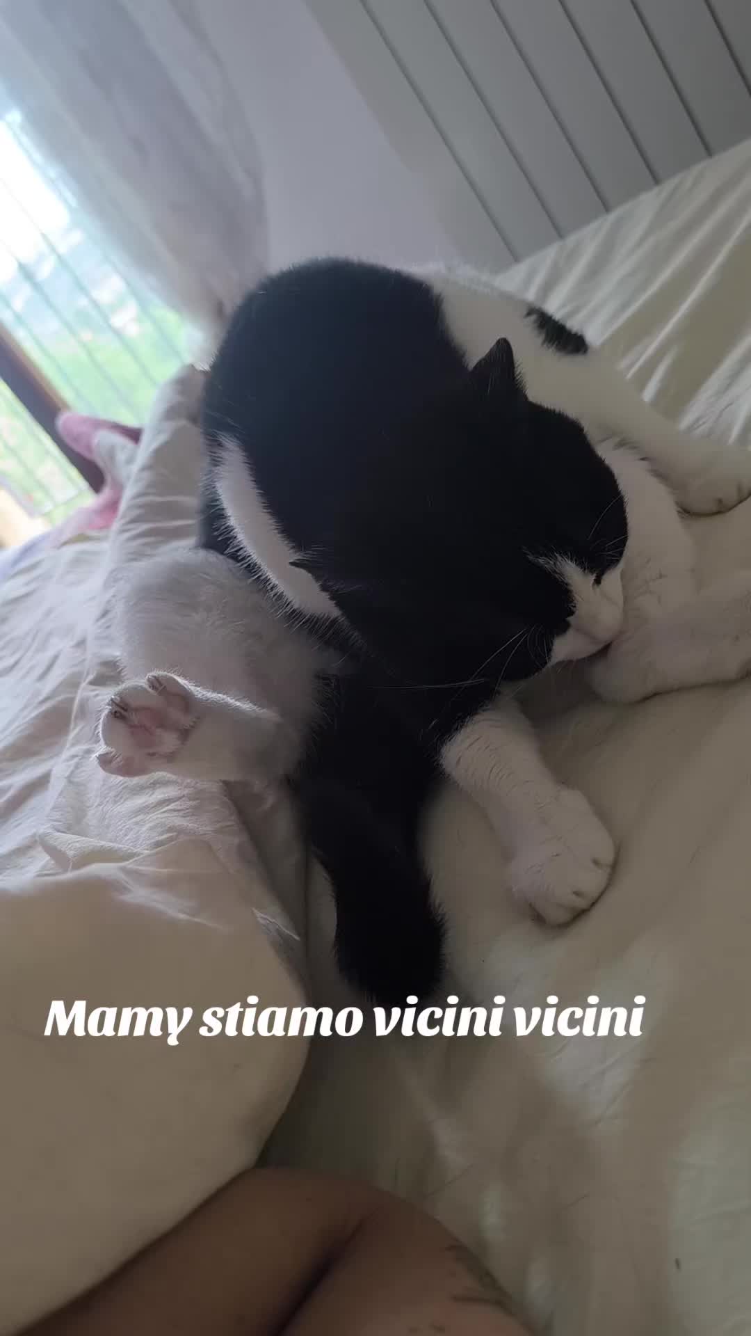 @Pina
