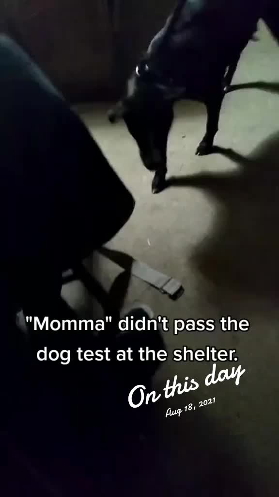 @Natalie Thatmalinoislady