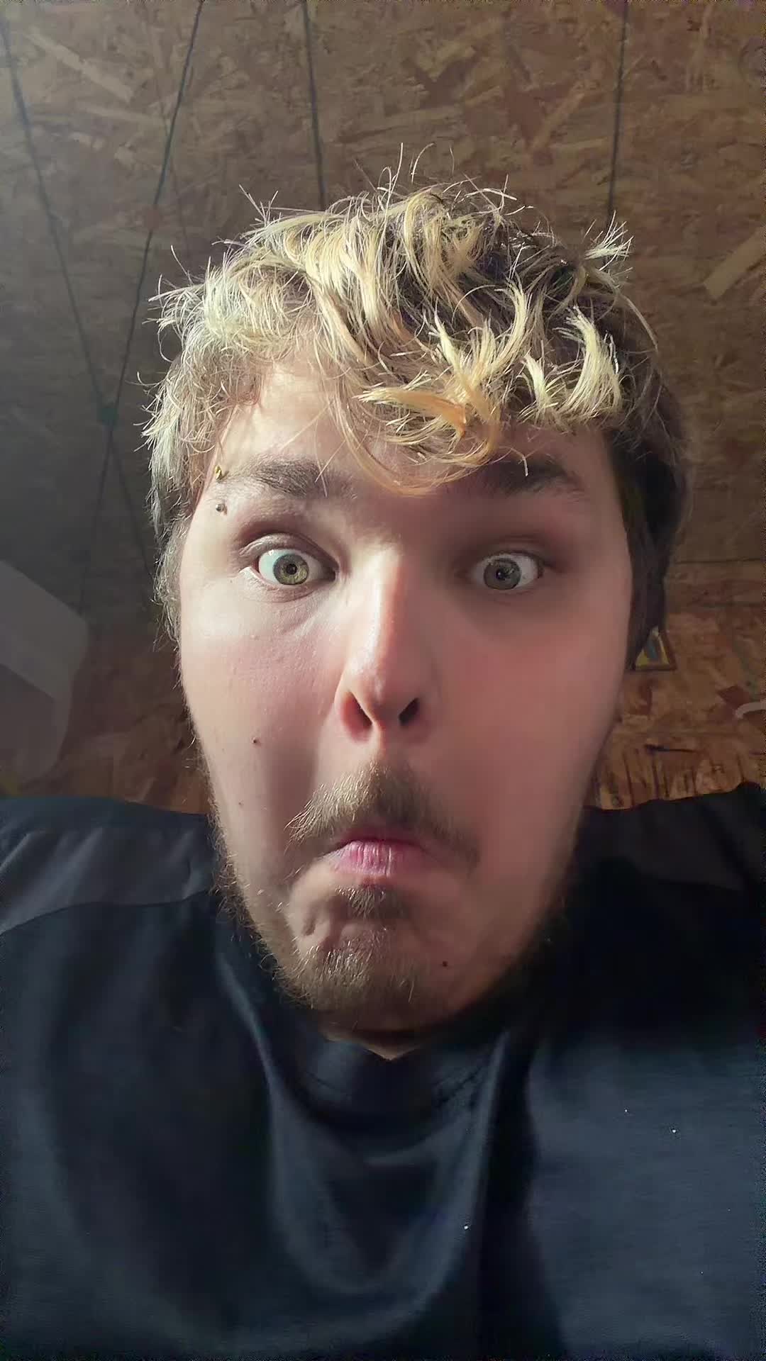 @GREENEFEIN