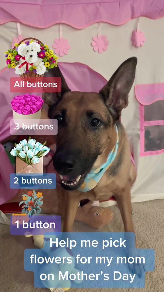 @Robyn🐕Blackberry