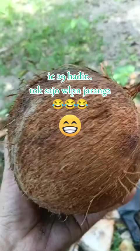 @Liza