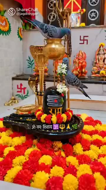 @parul Patel