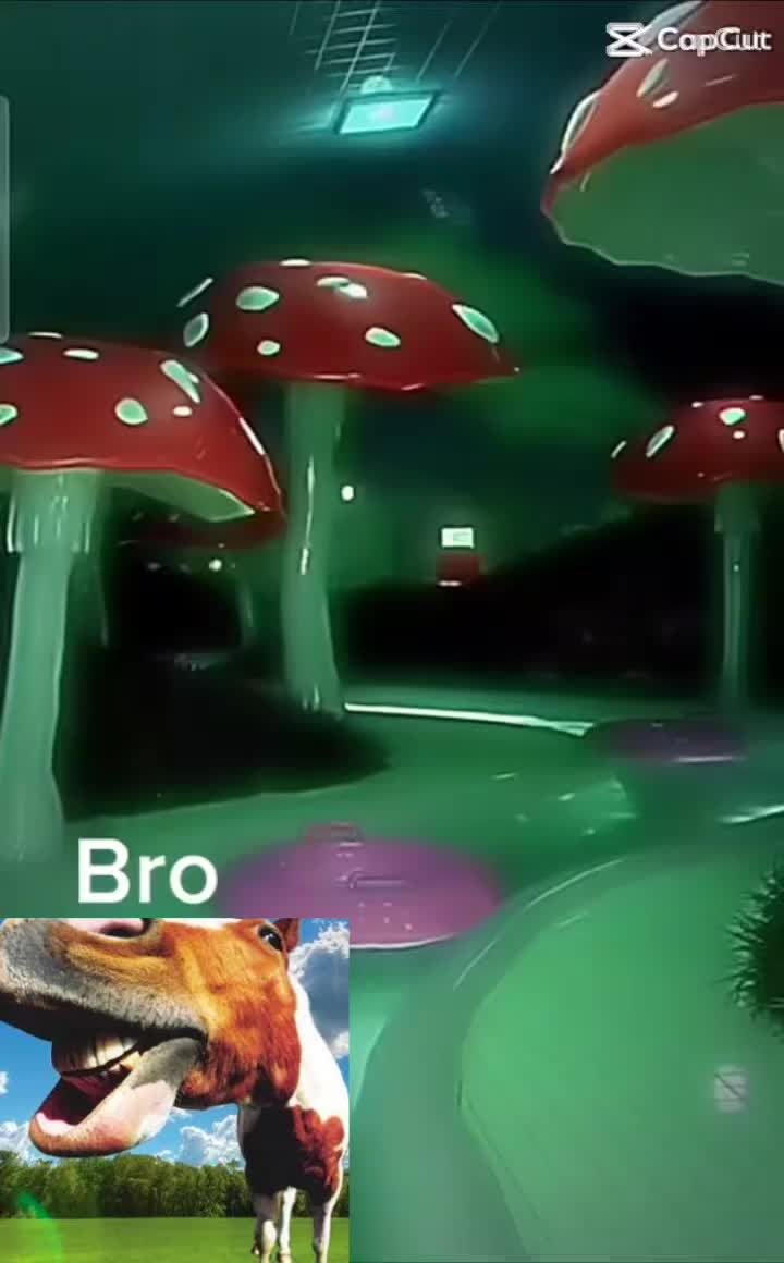 @ZORO