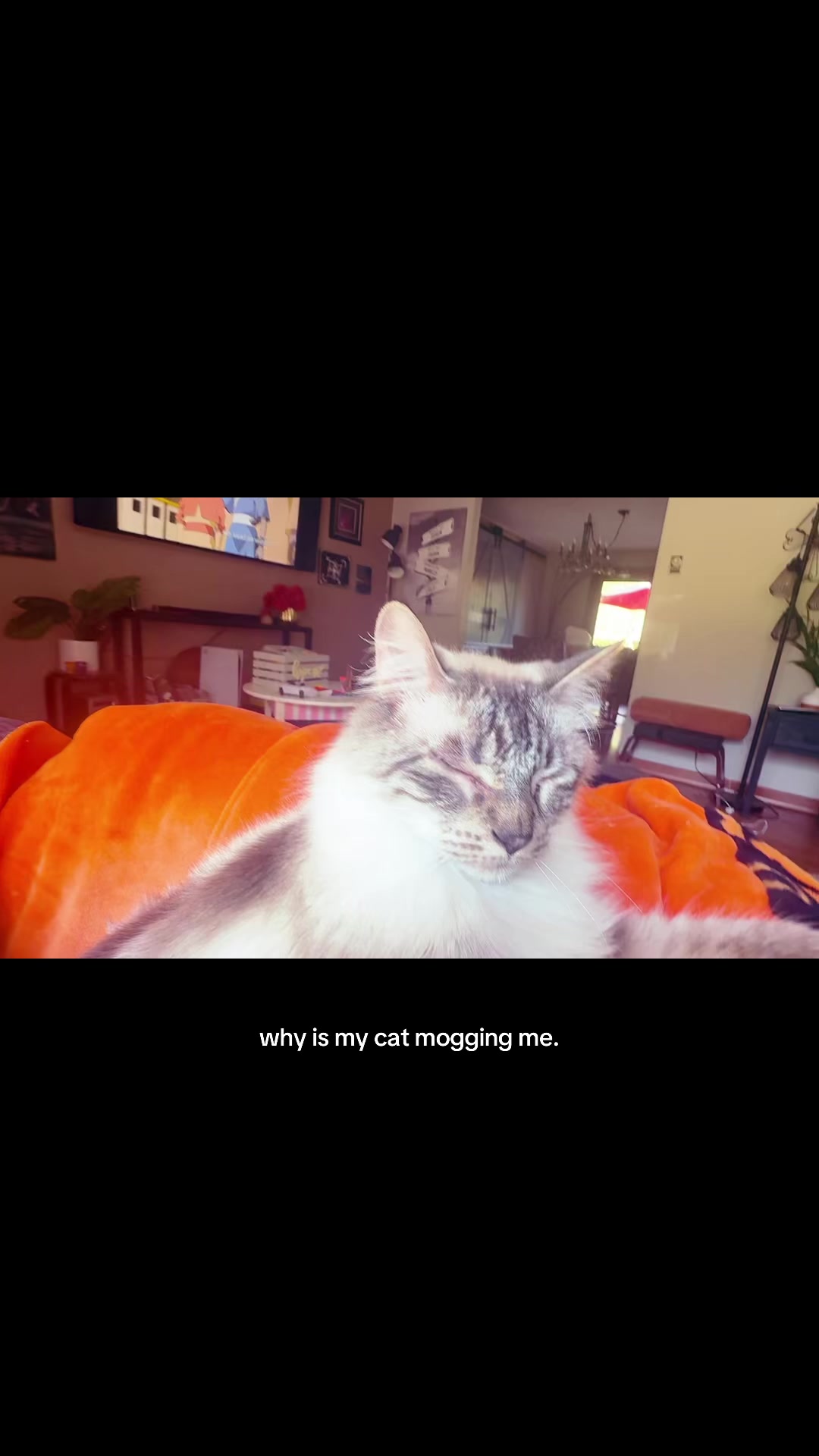 @𝘌𝘵𝘩𝘦𝘳𝘦𝘢𝘭 !! 🪽