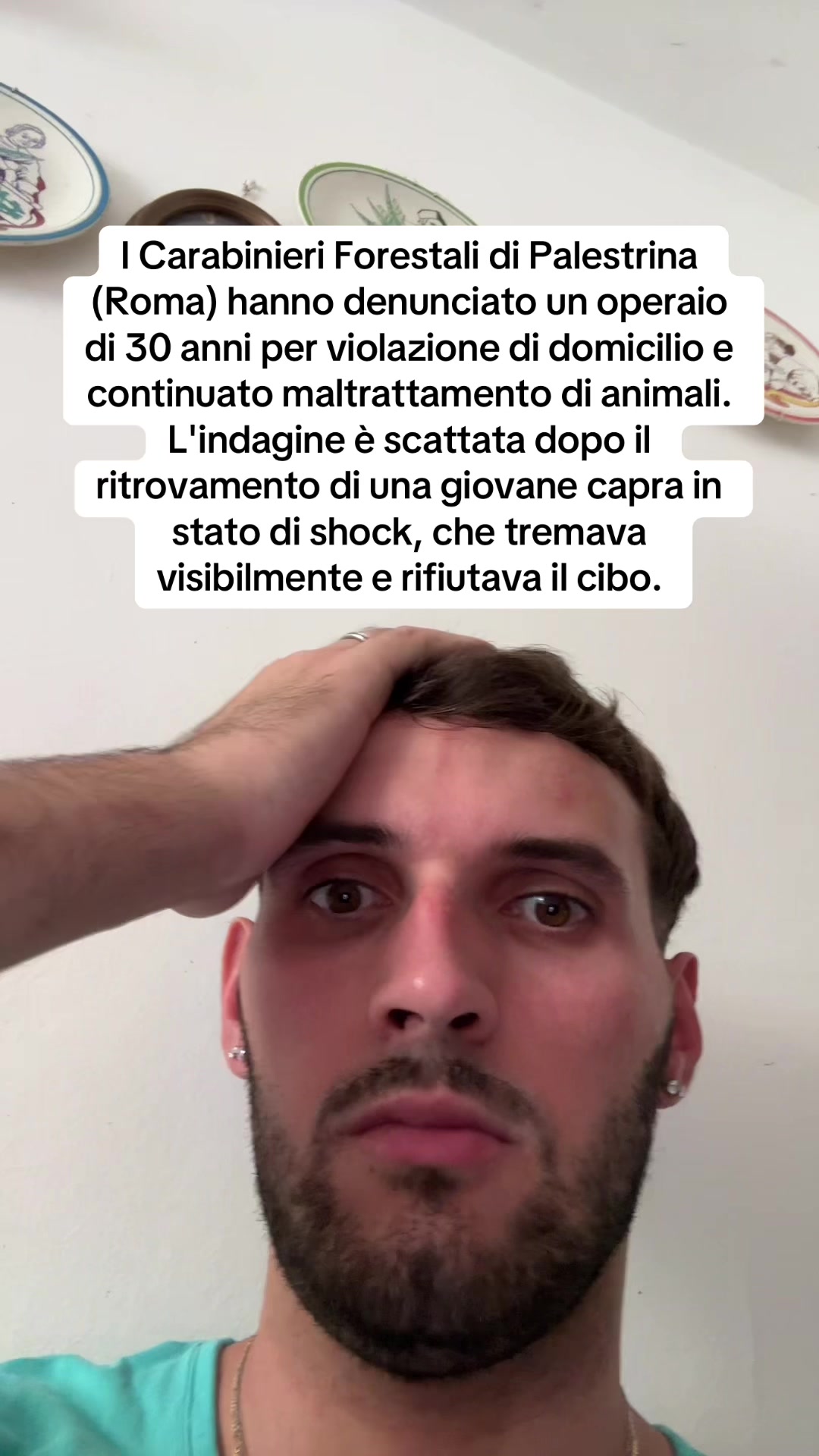 @francescobaccegareal