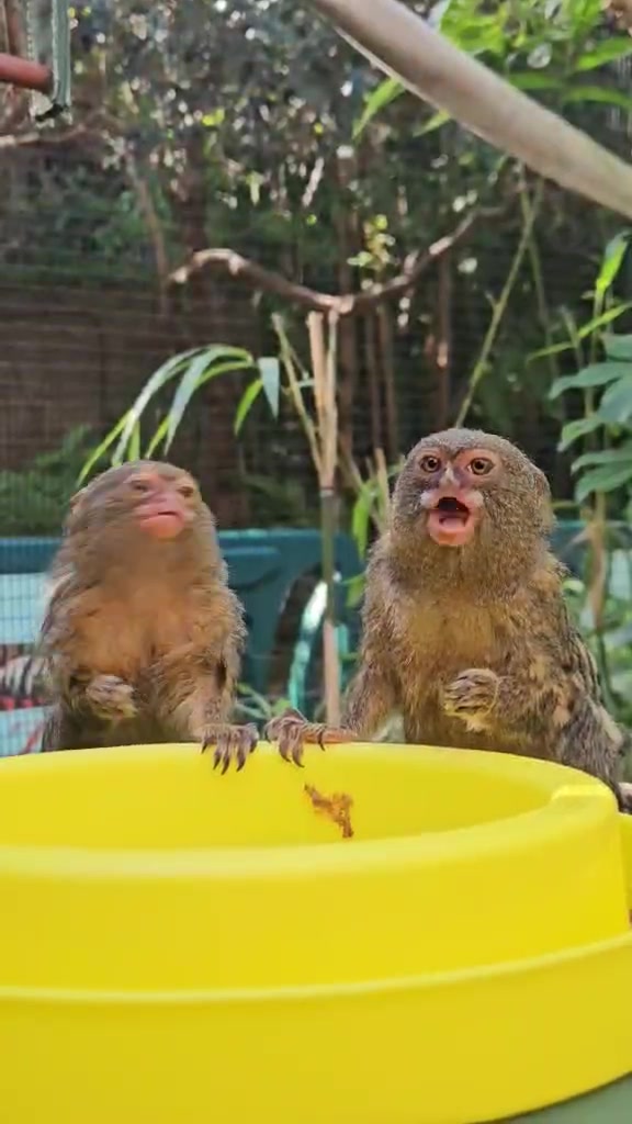 @Perth Zoo