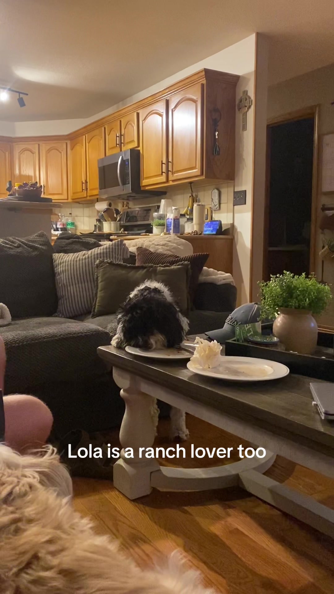 @JessK | Dog Mom