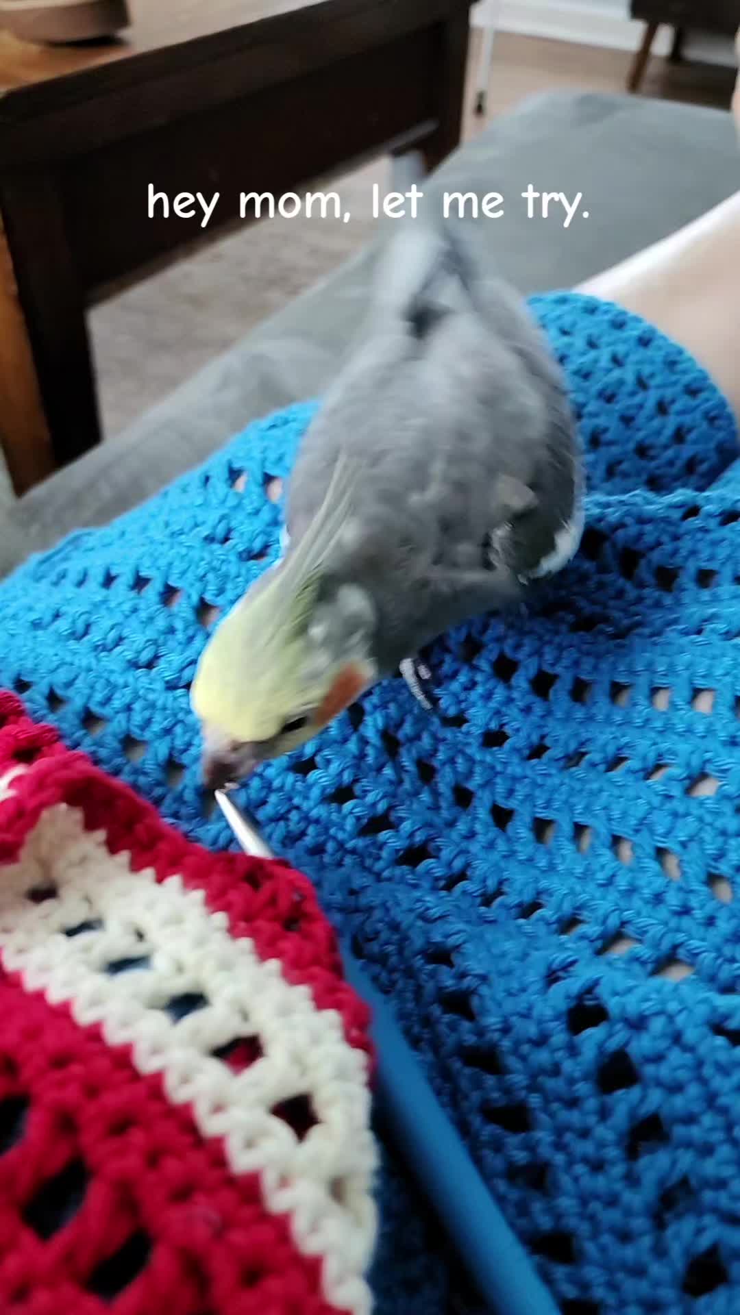 @Crochetverse