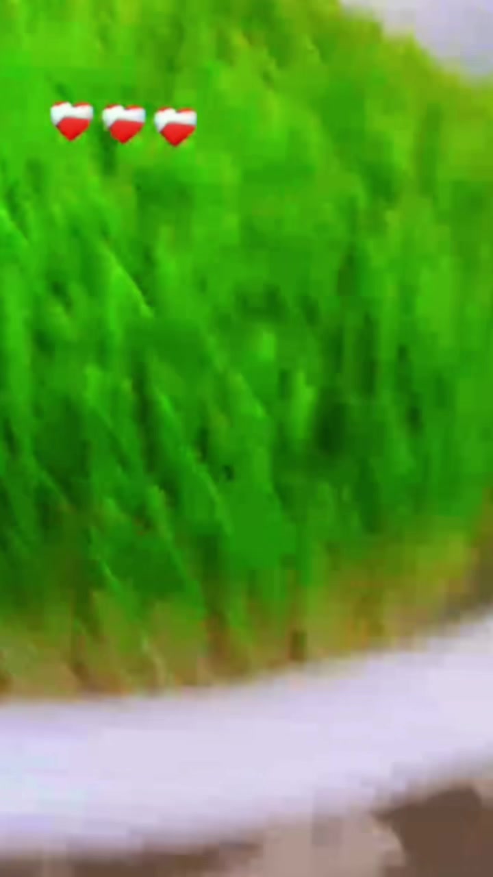 @queenhamta5