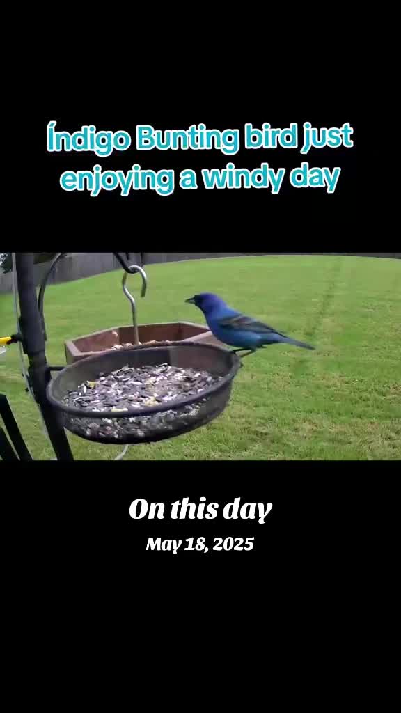 @The bird watcher 🐦 🦜 🦚
