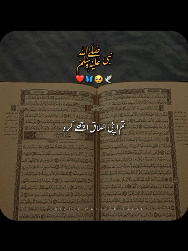 @Noor-e-Hidayat