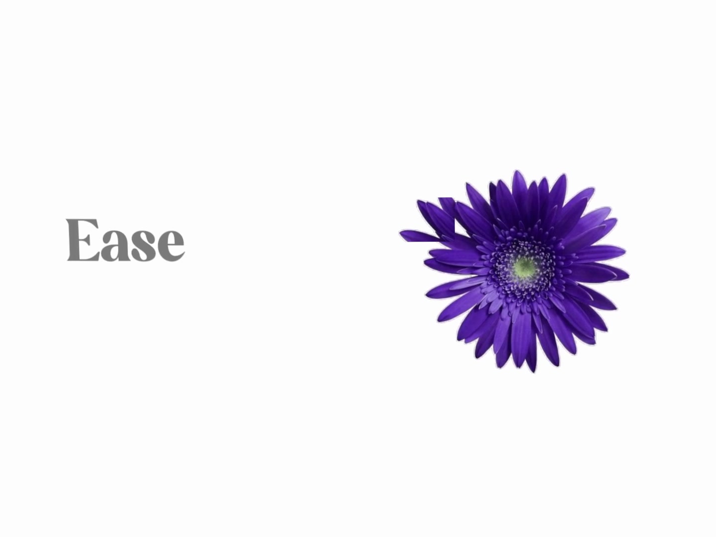 @︎ ︎ ︎ ︎ ︎︎︎︎︎︎︎︎︎︎︎Jed ︎ ︎ ︎ ︎