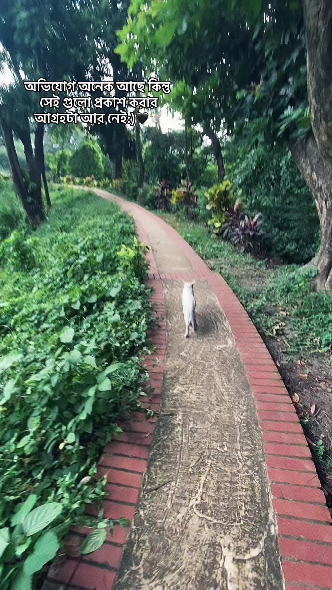 @𝐄𝐯𝐚 𝐀𝐩𝐮:)🦢