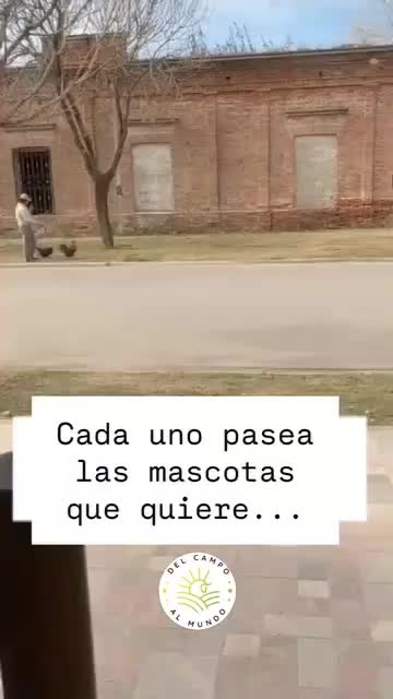 @Rosana Ramirez