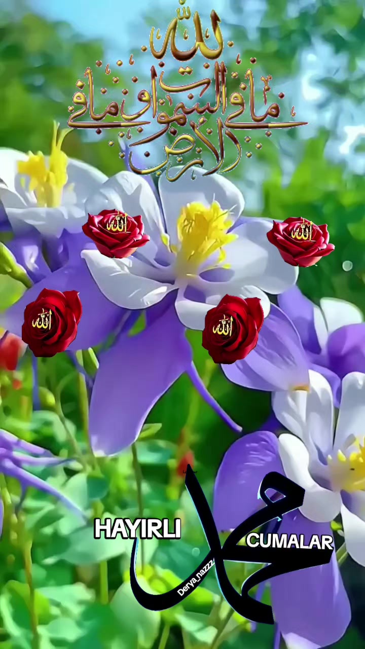 @💙Derya_naz_2💙