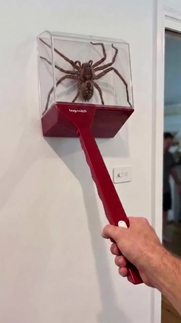 @D O W N