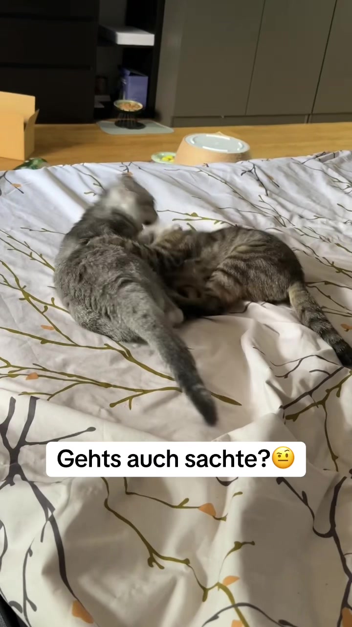@Divaurteilt