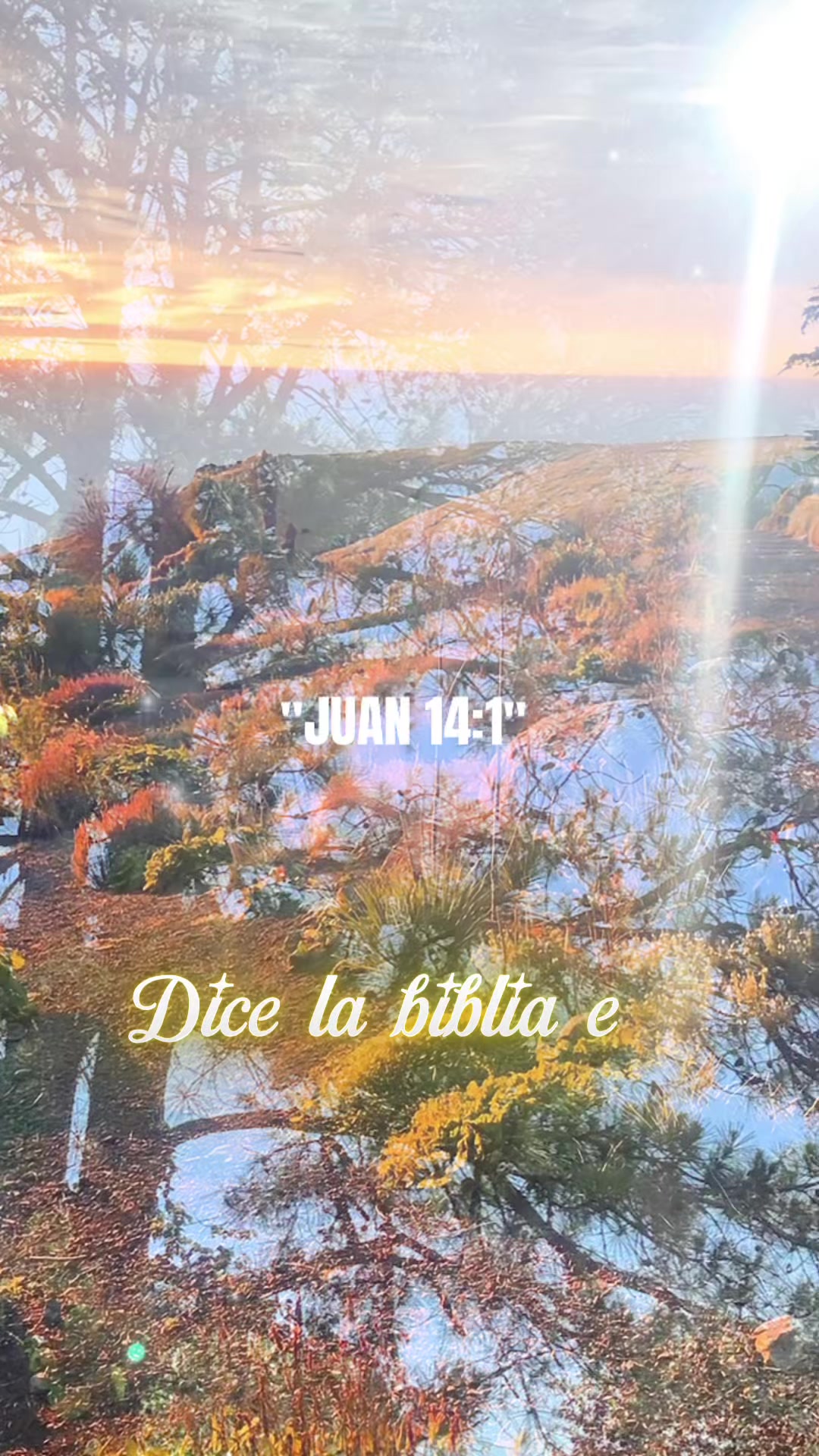@🫂🐾🍬♉️Masiel🫶 ⩜⃝🌈🦩