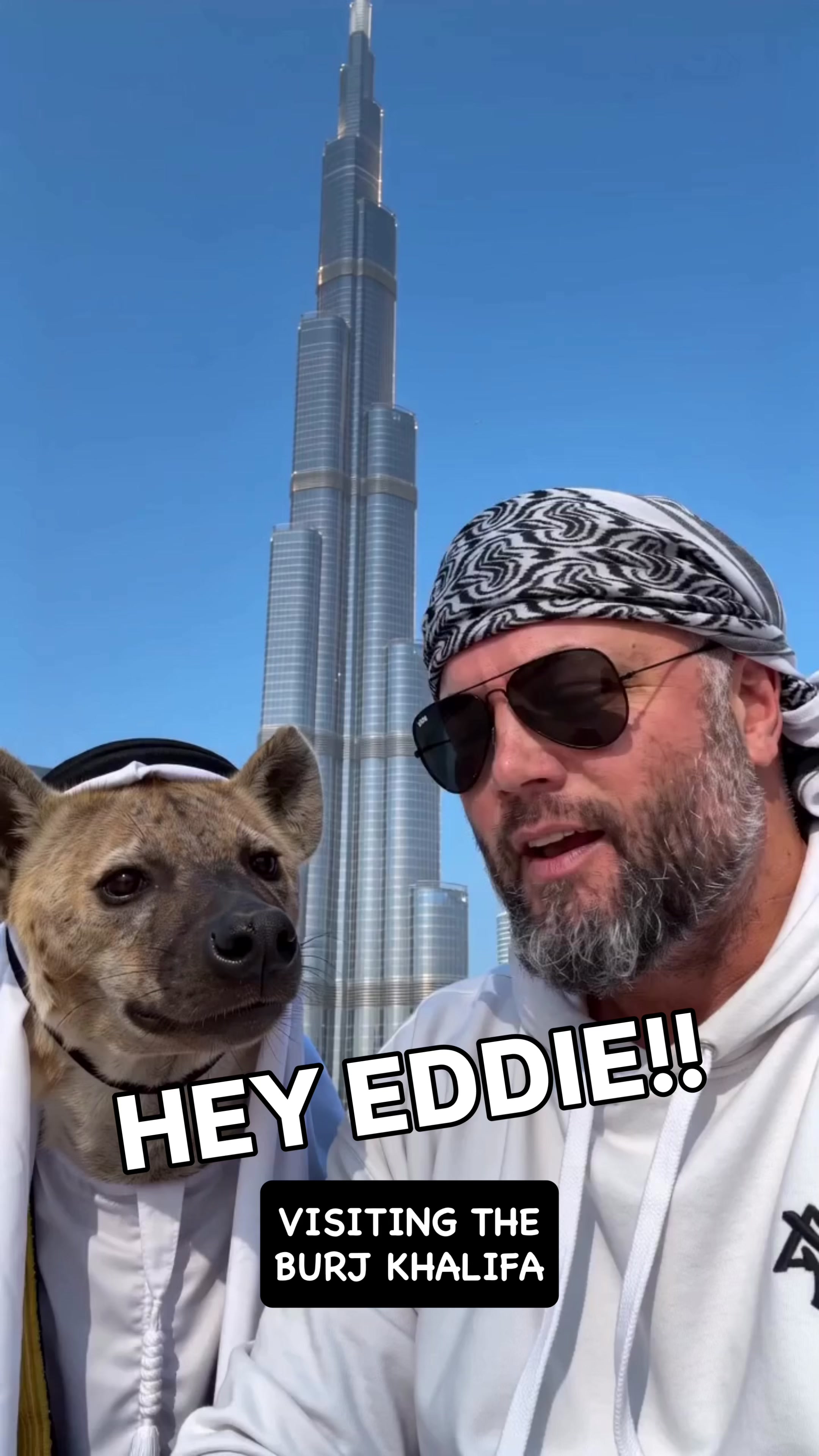 @EddieTheHyena