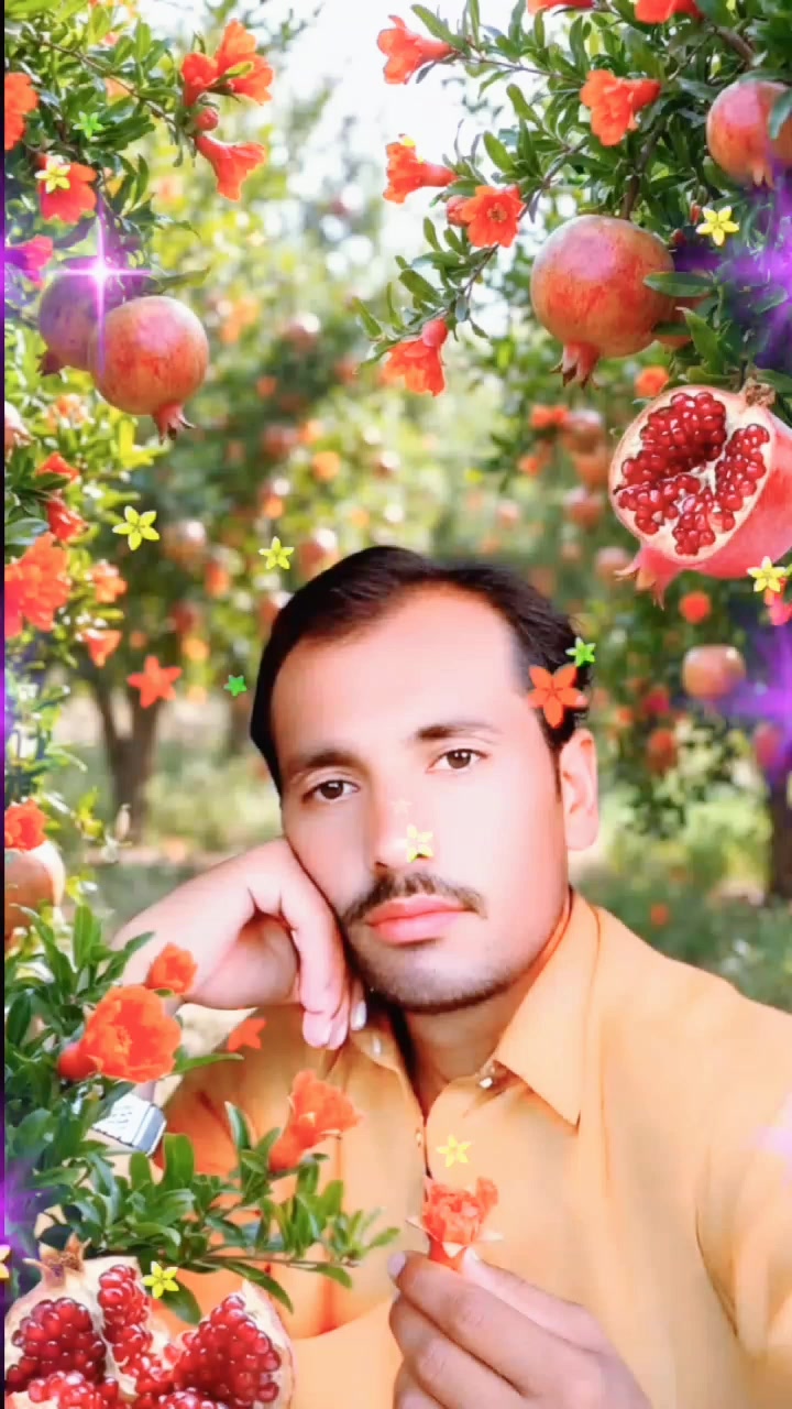 @haneef Khan 622