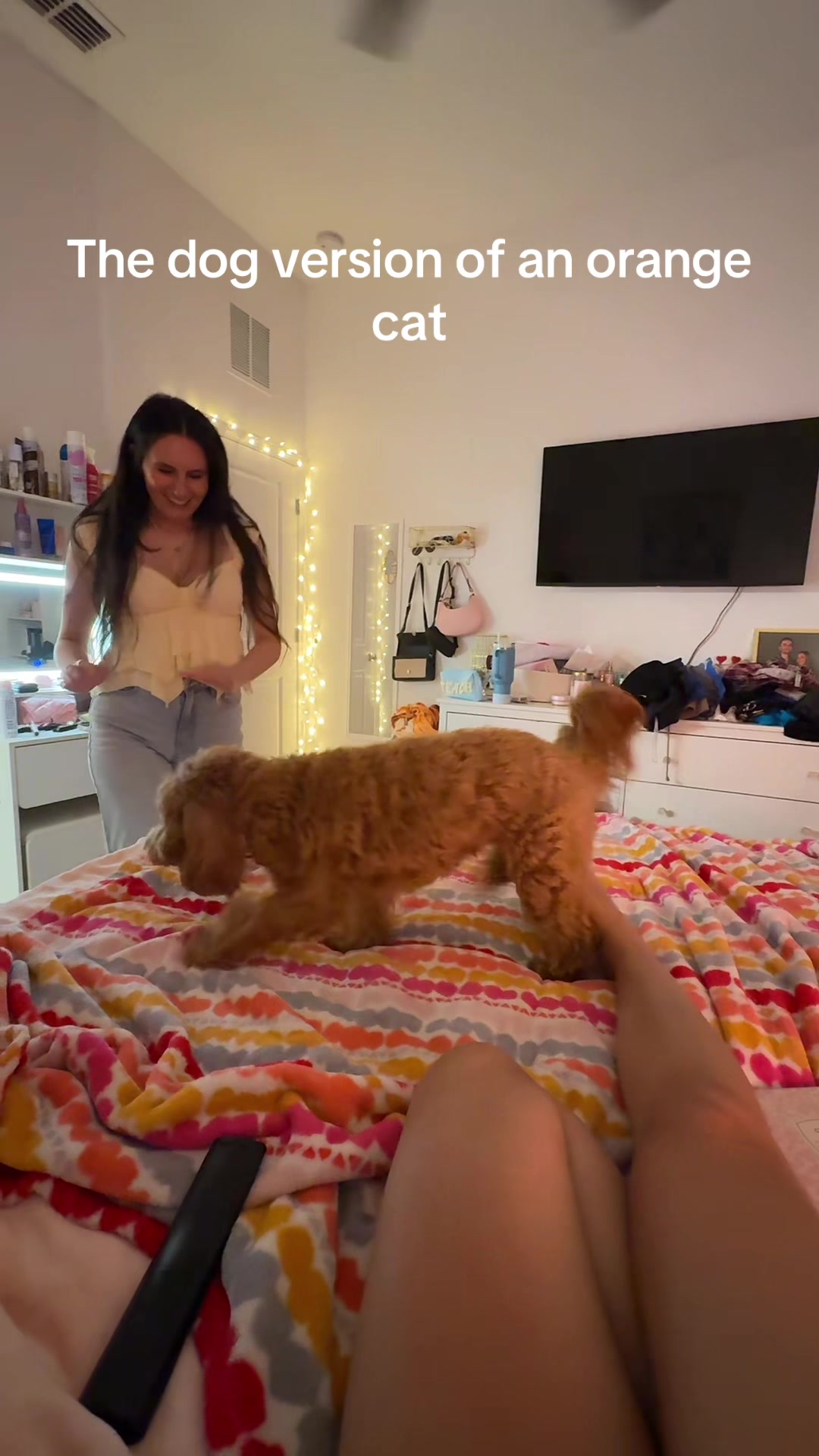 @miss.teacherbarbie