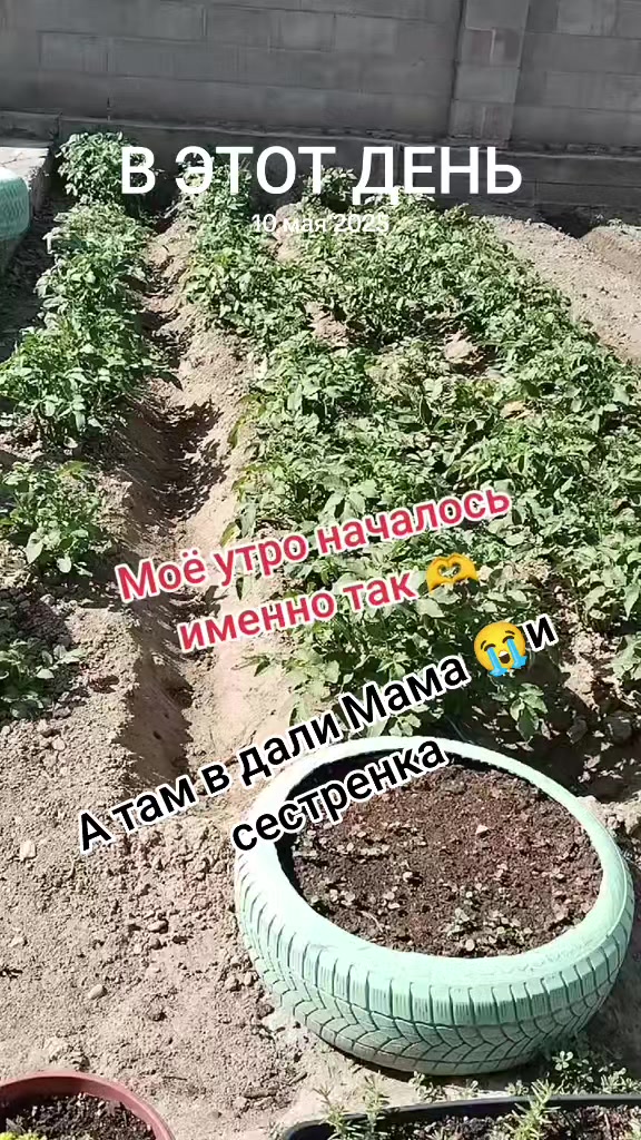 @Тахира