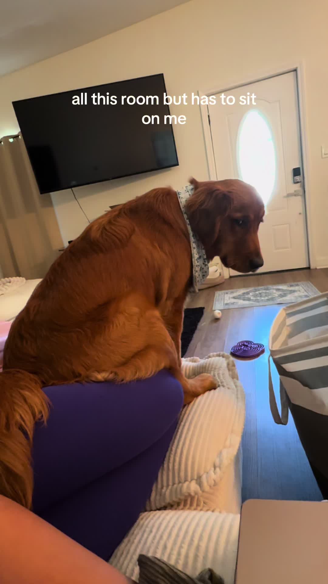@Finn the Golden