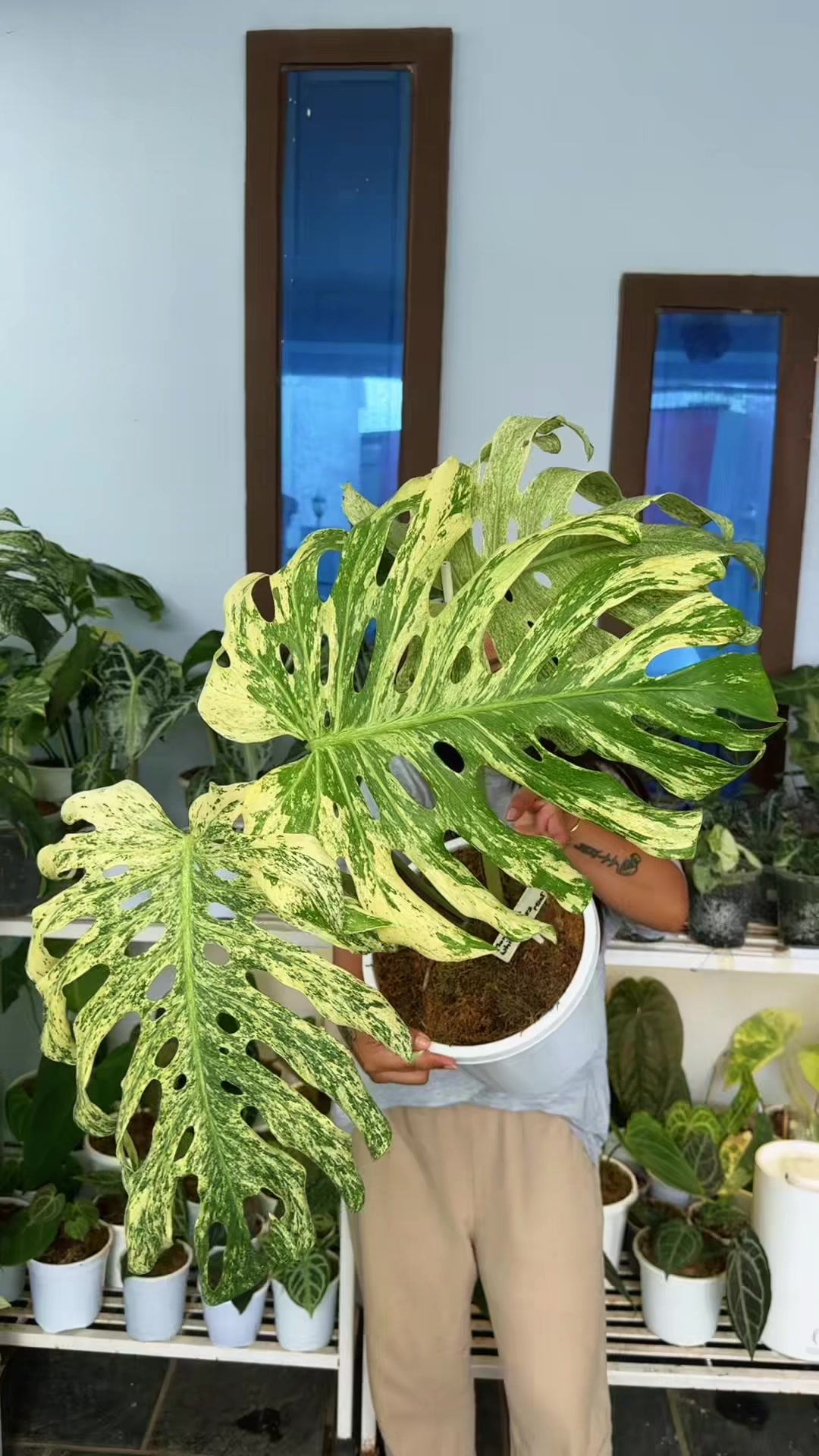 @Plantlife50