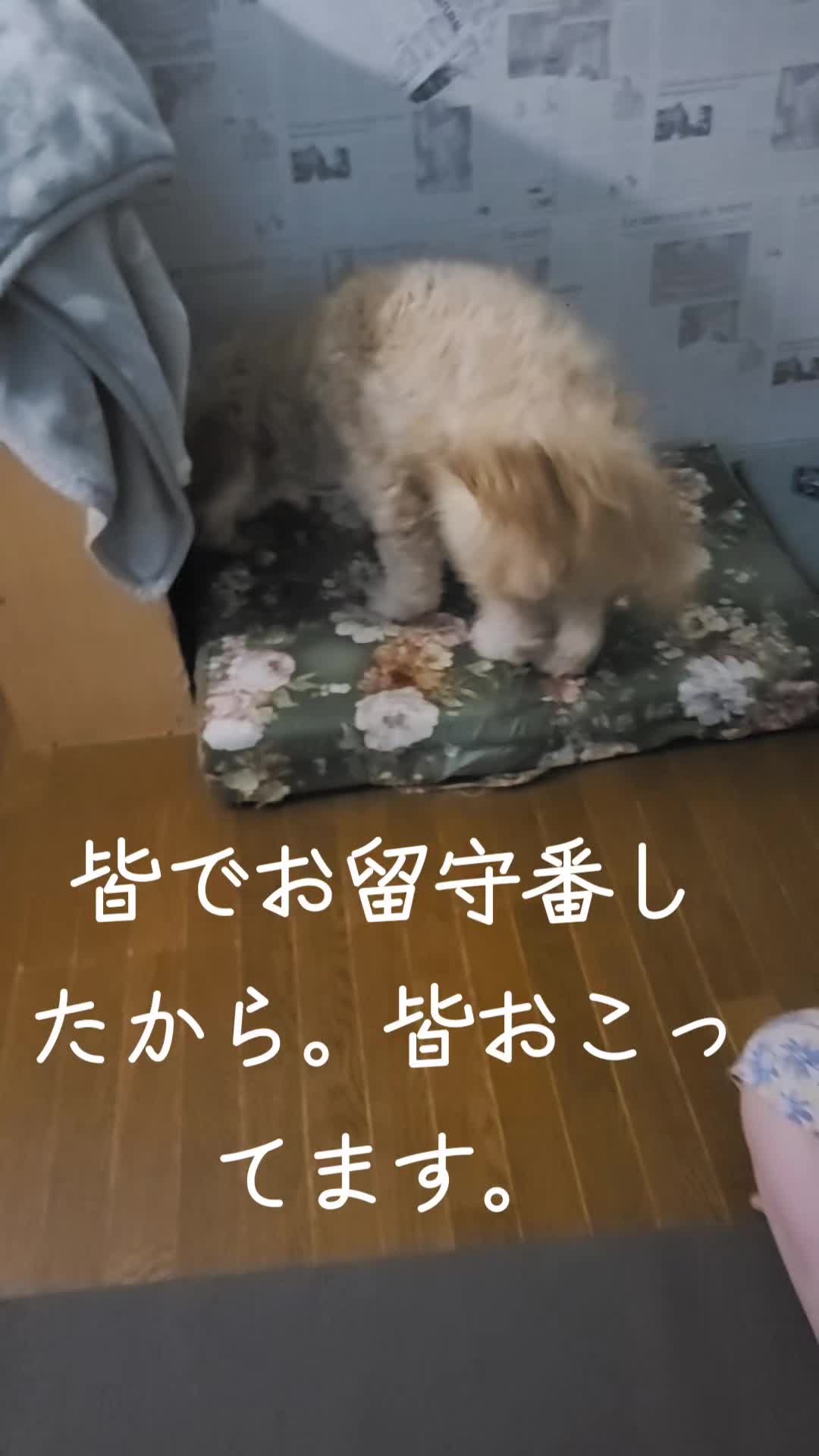 @沙亜代