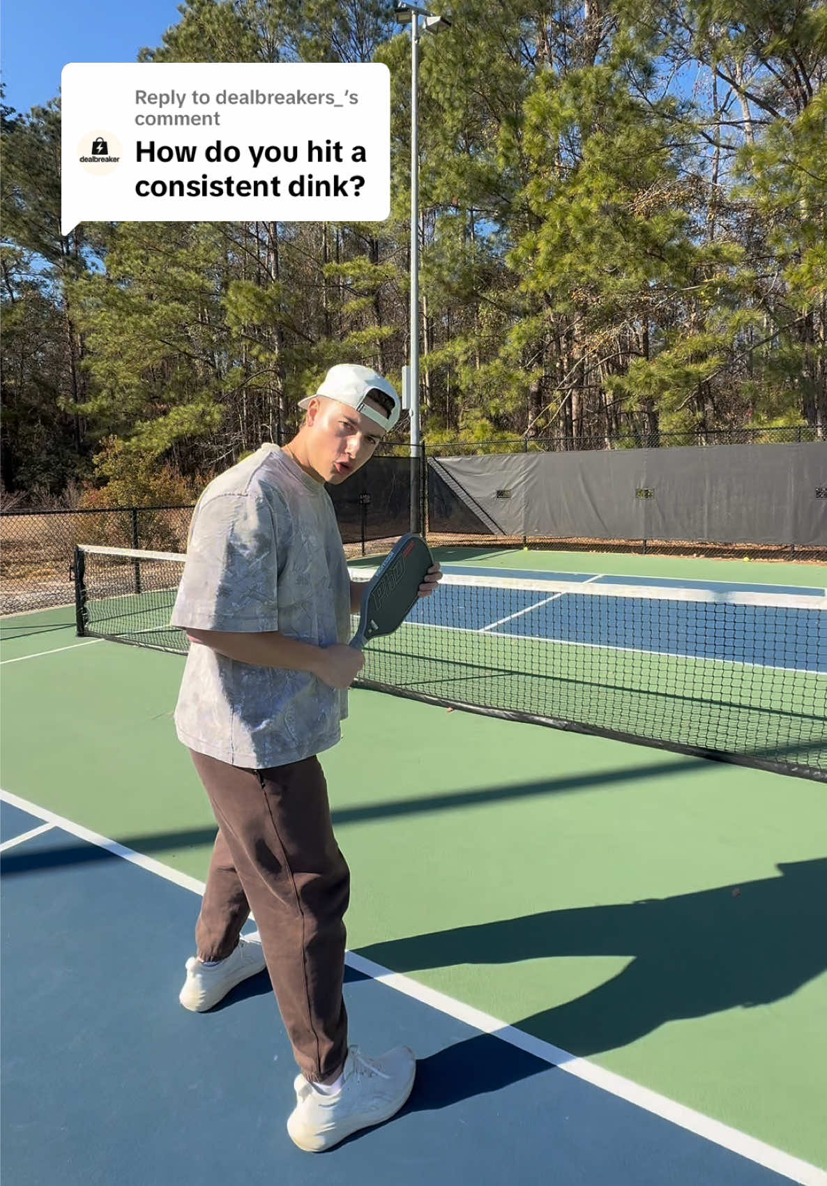 @Professor Pickleball