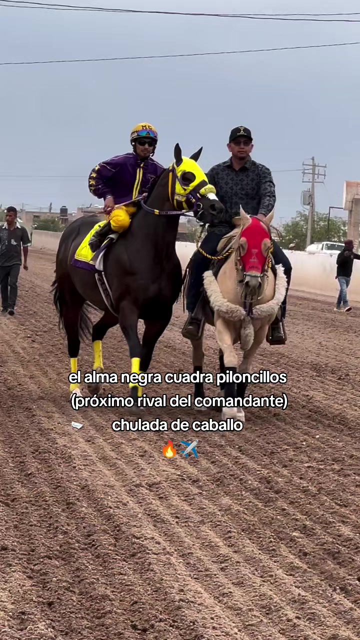 @carriles altos de jalisco🐎