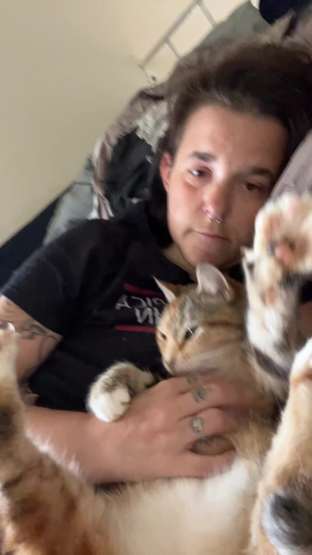 @Kitten 🖤