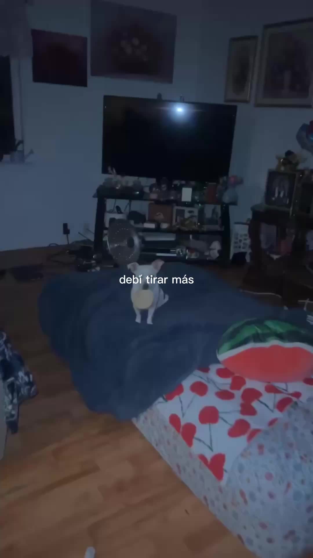 @Yuli