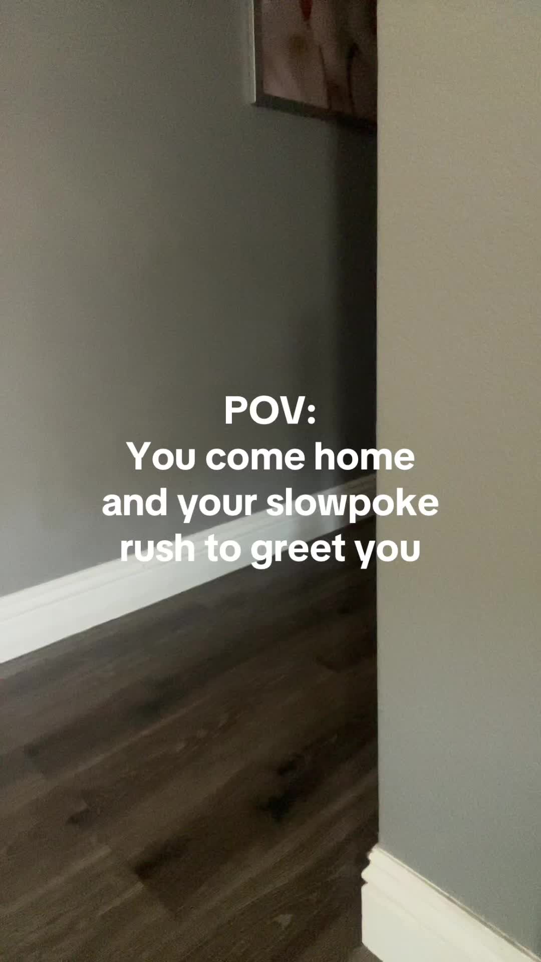 @TheVegasSlowpoke