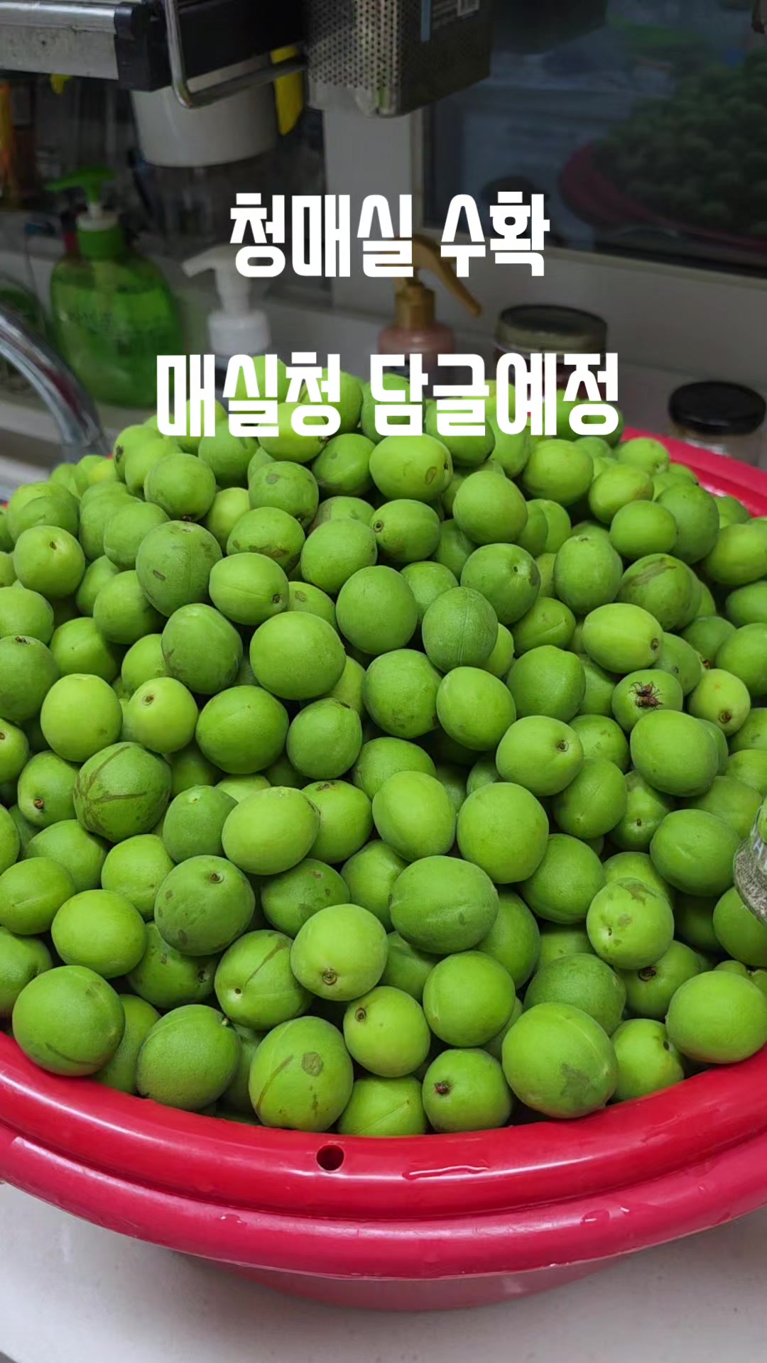@김동욱802