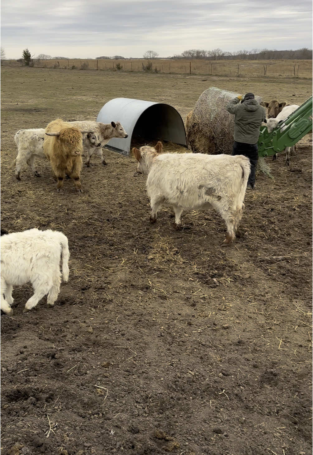 @Tami | FarmD Family Farm