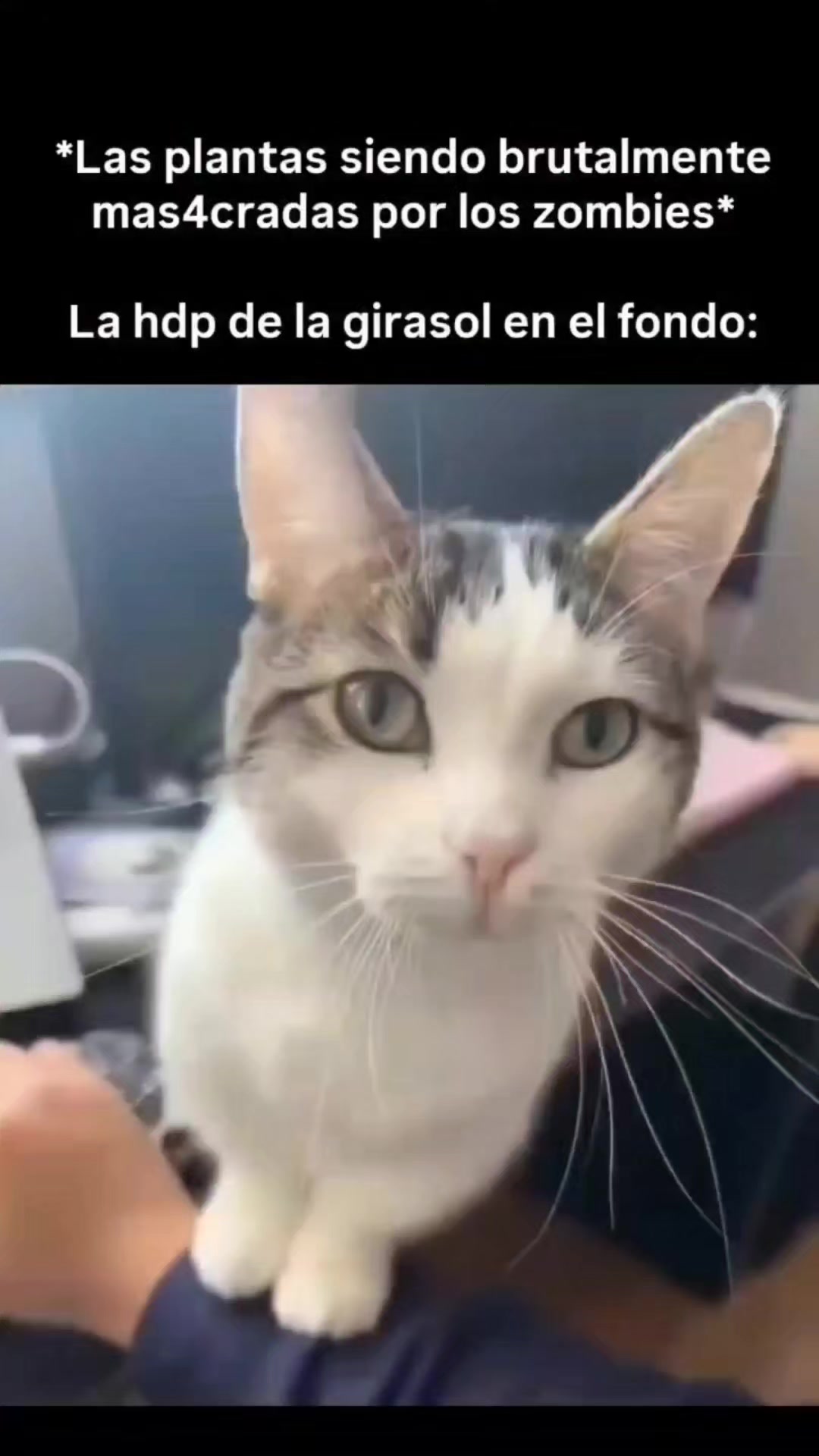 @Memes Del Dazarg⚡️