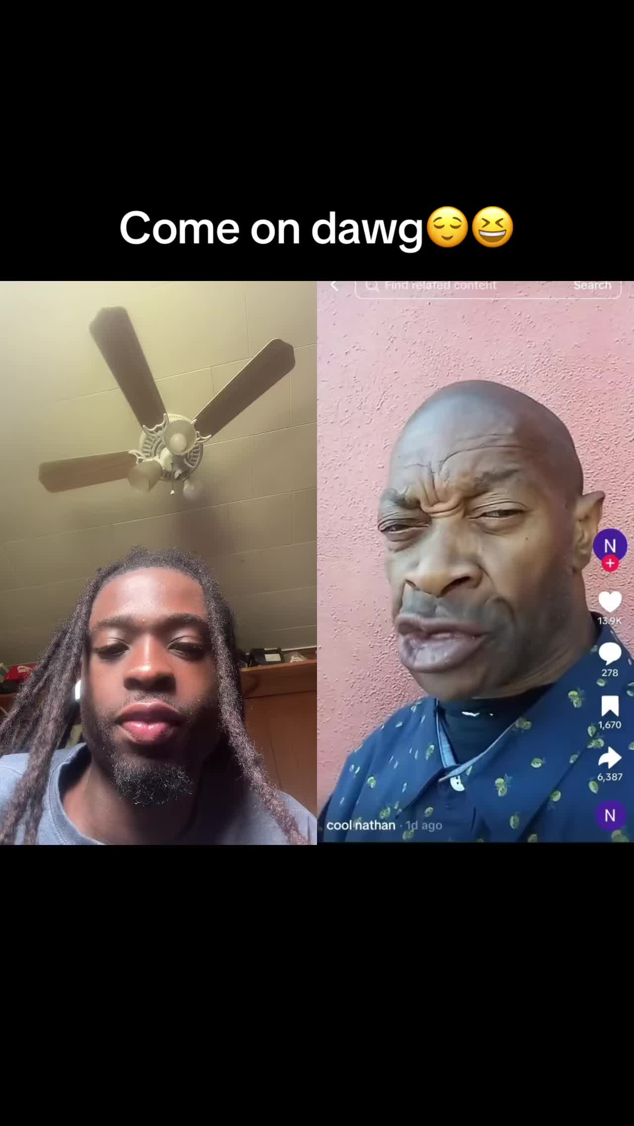 @🤔Youdontknowedog🤪❓❗️❤️